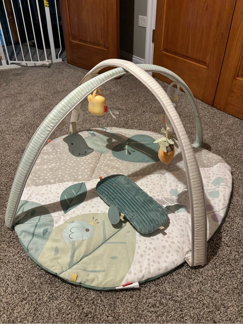 Skip Hop Garden Oasis Activity Gym